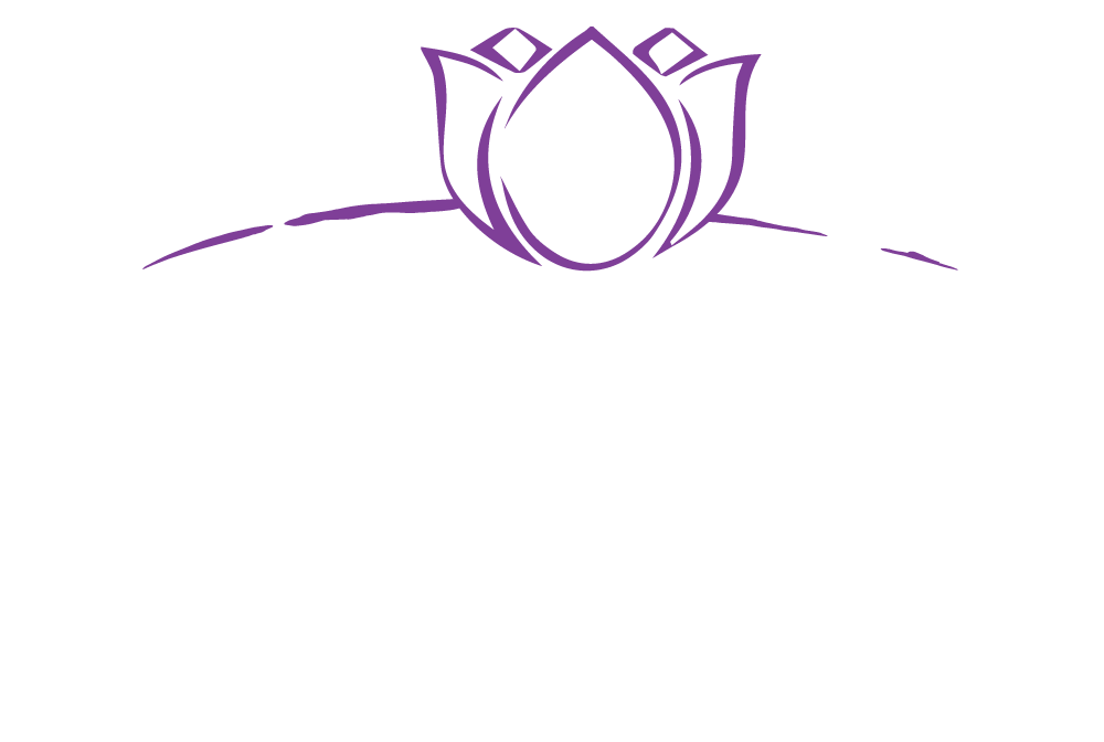 Horizon Health Care Systems Logo